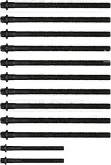 Набор болтов головки цилиндра bmw i e81/87/88 v e60 VICTOR REINZ 143231002