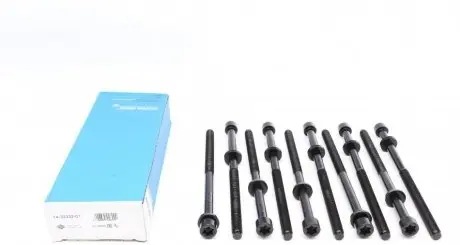 Комплект болтов головки цилидра VICTOR REINZ 14-32332-01