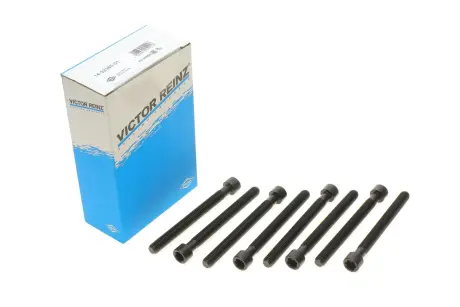 Комплект болтов головки цилидра VICTOR REINZ 14-32380-01