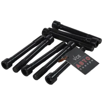 Комплект болтов головки цилидра VICTOR REINZ 14-55063-01