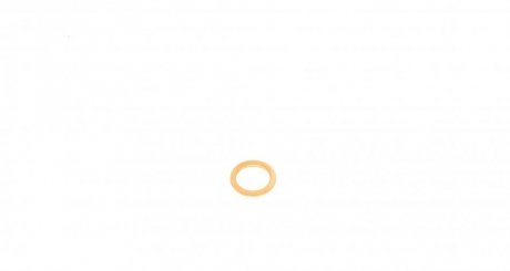 Уплотнительное кольцо, резьбовая пр; уплотнительное кольцо VICTOR REINZ 41-70059-00 (фото 1)