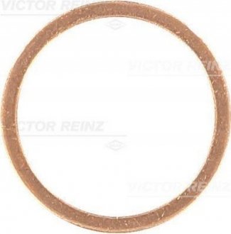 Уплотнительное кольцо VICTOR REINZ 41-70231-00 (фото 1)