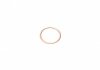 Уплотнительное кольцо, резьбовая пр; уплотнительное кольцо VICTOR REINZ 41-72065-30 (фото 1)
