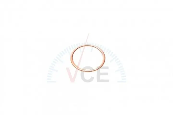 Кільце ущільнювача, різьбова ін; ущільнювальне кільце VICTOR REINZ 41-72065-30 (фото 1)