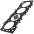 Прокладка, головка цилиндра VICTOR REINZ 61-53635-50 (фото 1)