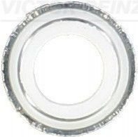 Уплотнительное кольцо, стержень кла VICTOR REINZ 70-25792-00 (фото 1)
