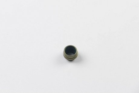 Уплотнительное кольцо, стержень кла VICTOR REINZ 70-25837-00 (фото 1)