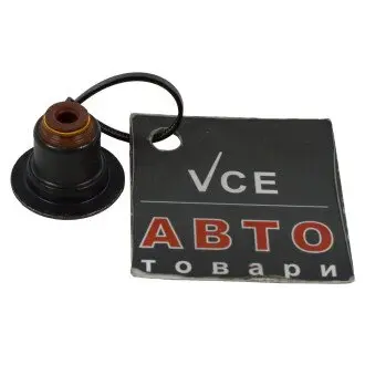 Уплотнительное кольцо, стержень кла VICTOR REINZ 70-37728-00