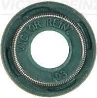 Уплотнительное кольцо, стержень кла VICTOR REINZ 70-53991-00