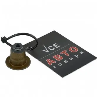 Уплотнительное кольцо, стержень кла VICTOR REINZ 70-54206-00