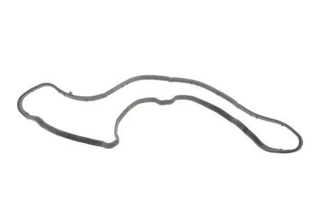 Прокладка, впускной коллектор VICTOR REINZ 71-10040-00