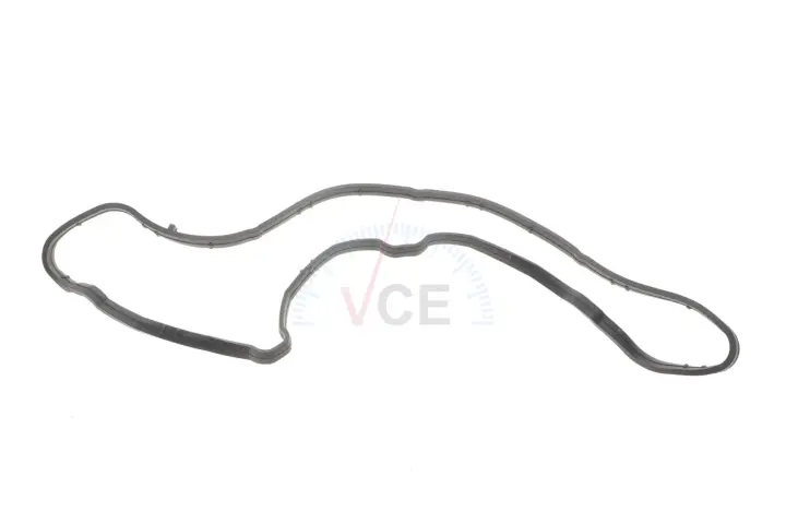 Прокладка, впускной коллектор VICTOR REINZ 71-10040-00 (фото 1)