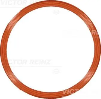 Прокладка впускного коллектора VICTOR REINZ 71-10829-00