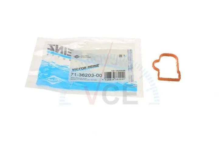 Прокладка, впускной коллектор VICTOR REINZ 71-36203-00 (фото 1)