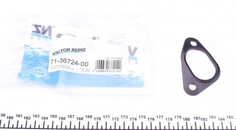 Прокладка, выпускной коллектор VICTOR REINZ 71-36724-00 (фото 1)