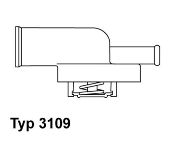 Термостат, охолоджуюча рідина WAHLER 3109.87D