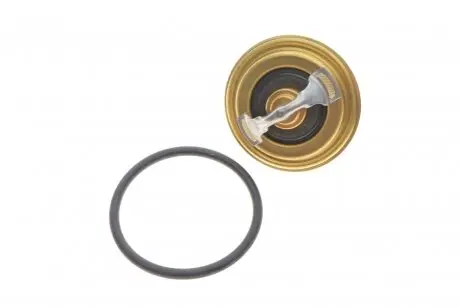 Термостат, охлаждающая жидкость WAHLER 410396.82D