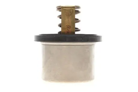 Термостат, охлаждающая жидкость WAHLER 4619.80