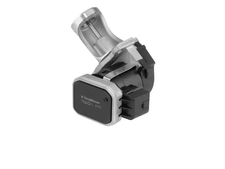 Клапан egr WAHLER 7529D/1 (фото 1)