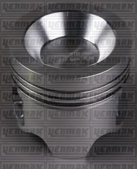 Фото 1 - Поршень з кільцями і пальцем (розмір 81,00 / STD) 11,19,21, TRAFIC 1.7 (4 цл.) (F 2N.A700/E708) YENMAK 31-04158-000 Поршень з кільцями і пальцем (розмір 81,00 / STD) 11,19,21, TRAFIC 1.7 (4 цл.) (F 2N.A700/E708) YENMAK 31-04158-000 (фото 1)