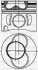 Поршень с кольцами и пальцем (размер отв. 79.76/+0.25) 31-04319-025