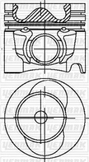 Поршень с кольцами и пальцем (размер 81.01/STD) LT 2.5TDI-06 (AVR Turbo VGT, Inter cool 109PS) YENMAK 31-04338-000